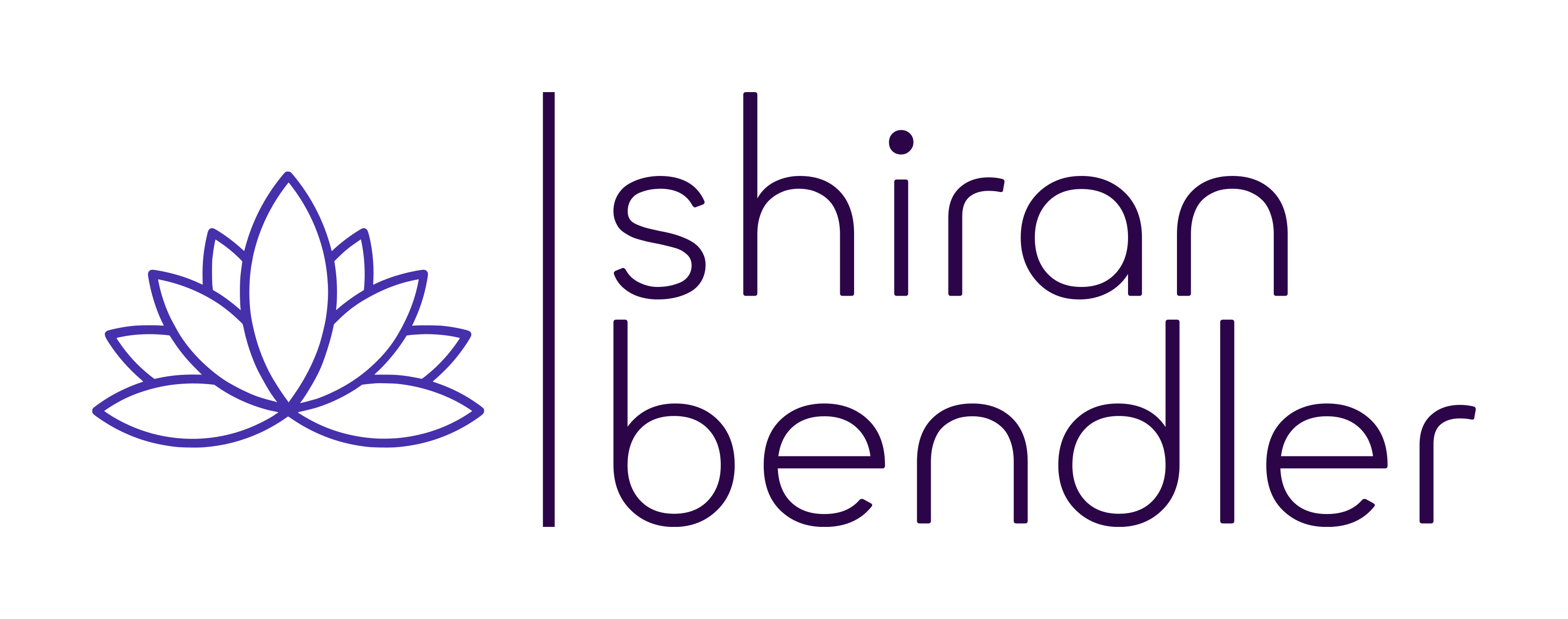 Shiran Bendler · הלוגו של שירן בנדלר